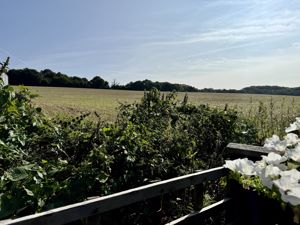 Photo 7- click for photo gallery